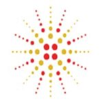 Complete information about Al Qasimi Foundation internship in the United Arab Emirates