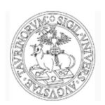University of Turin