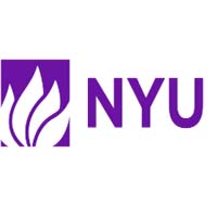 New York University Online Courses The Best Opportunity