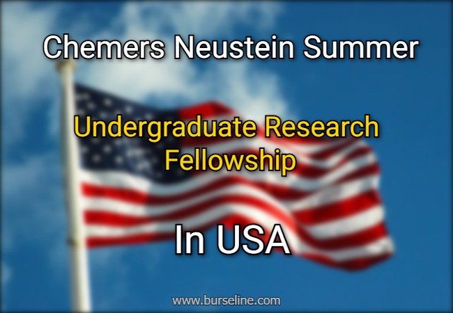 Chemers Neustein Summer Undergraduate Research Fellowship 2026