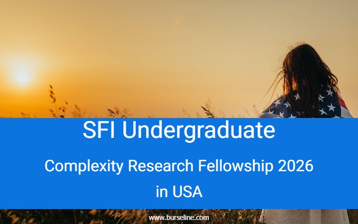 SFI Undergraduate Complexity Research Fellowship 2026