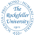 Chemers Neustein Summer